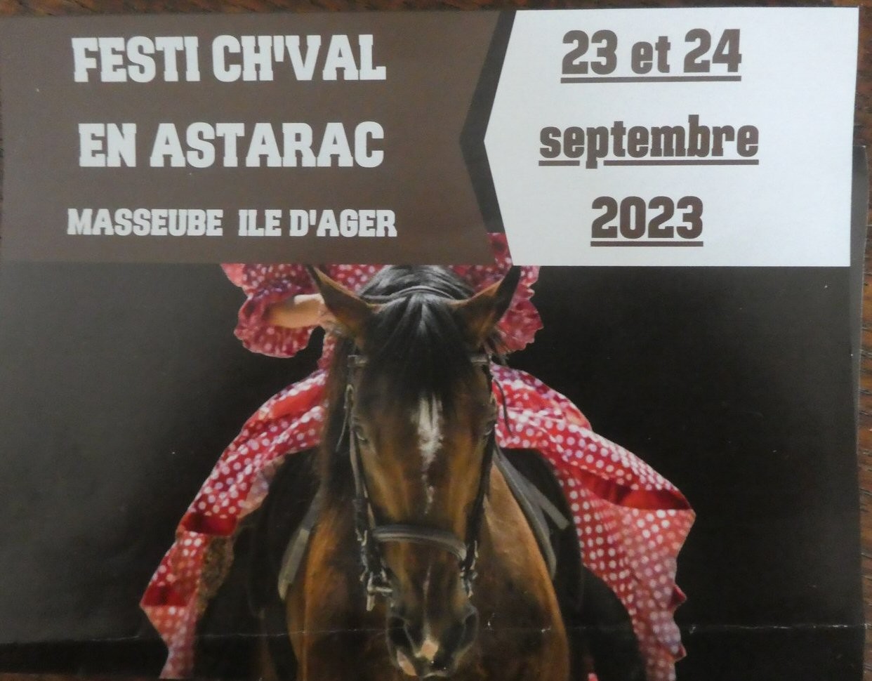 Deux jours dédiés au cheval