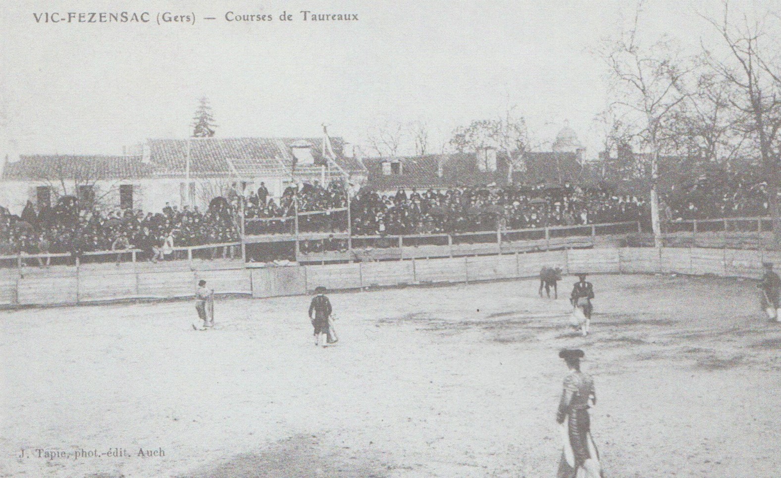 ARENES EN BOIS.jpg