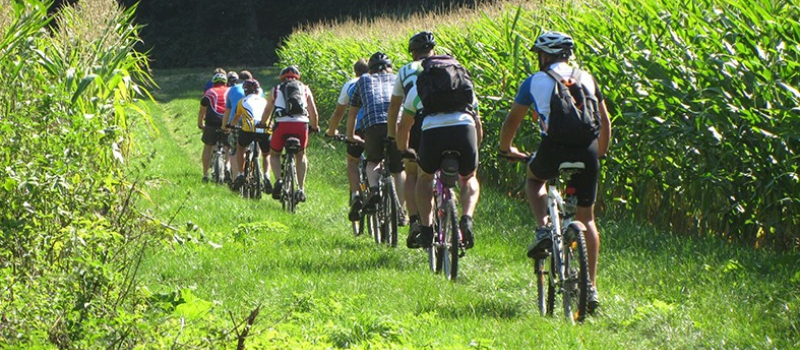 Pétanque, vélo et marche pour vous détendre