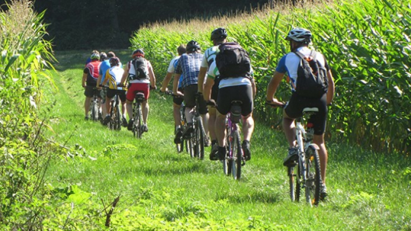 Pétanque, vélo et marche pour vous détendre