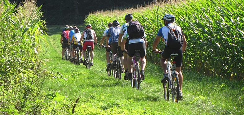 vélos-vtt.jpg