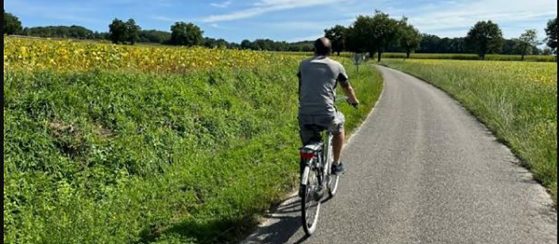 Balade à vélo, gourmande et artistique