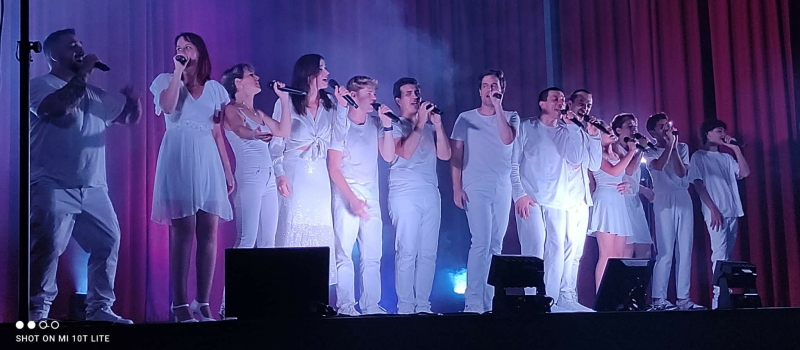 "Des chansons plein la tête" avec des artistes TV  le 31 octobre  à Vic-Fezensac !