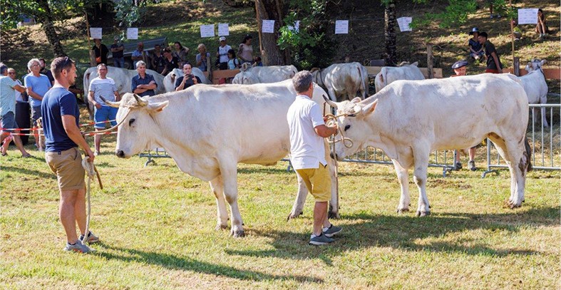 foire madeleine4.jpg