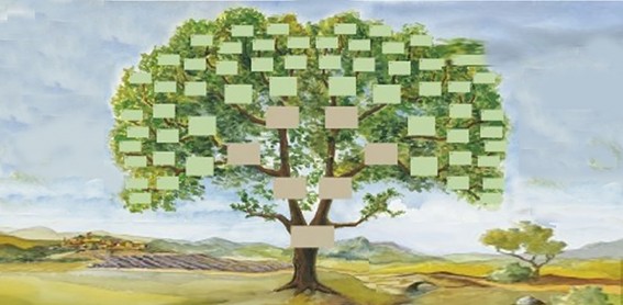 arbre genealogique 78.jpg