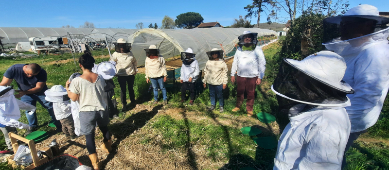 Un défi familial pour accueillir les pollinisateurs dans votre jardin !