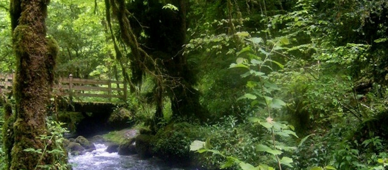 Lous Quarantapes aux sources de l’Arros