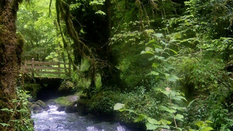 Lous Quarantapes aux sources de l’Arros