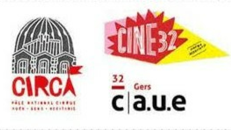 "Conférence dessinée au Ciné"  avec  L'Asymétrie des Baratins