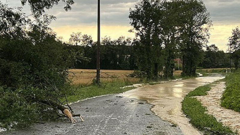 Intempéries : La note est salée