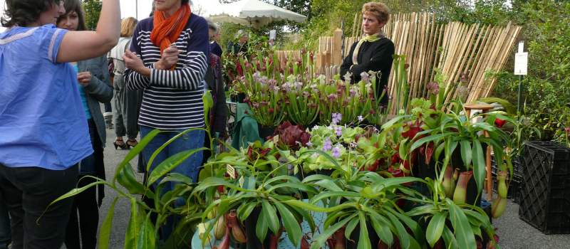 La 21e foire aux plantes rares c'est dimanche 8 octobre dès 9 heures