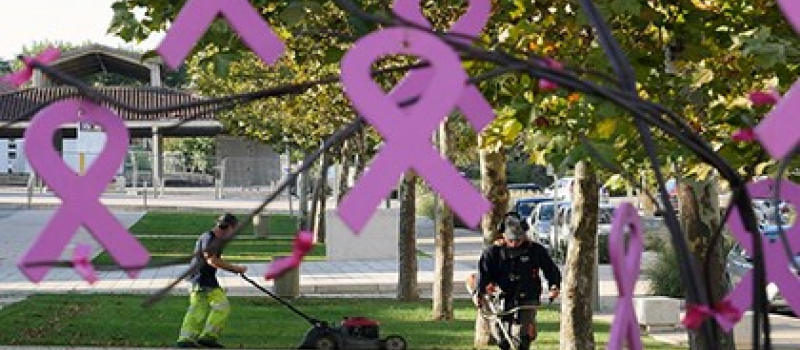 Un décor rose pour la ville