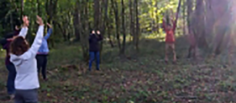 Balade sophrologique nature