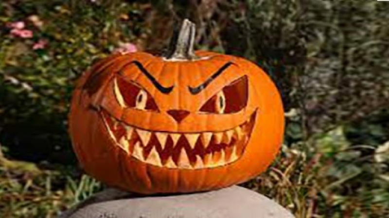 Des conseils pour bien préparer Halloween