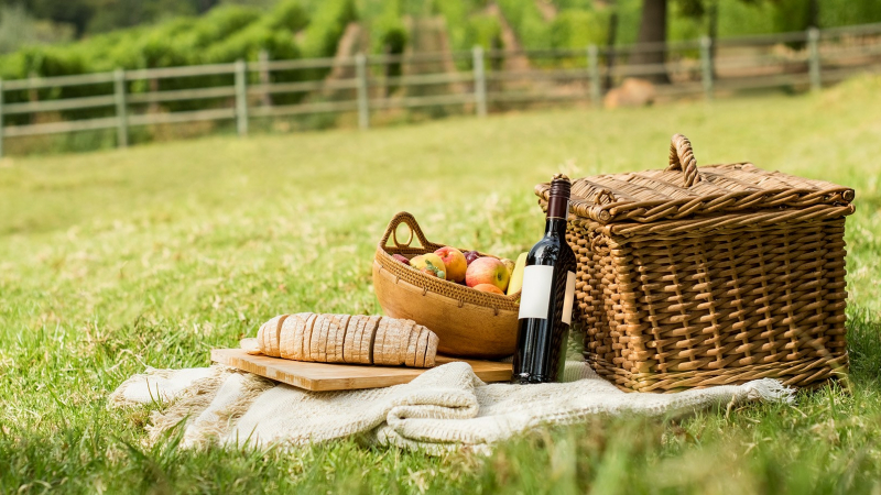 Samedi 21 octobre: randonnée guidée dans le vignoble du Madiran et du Pacherenc
