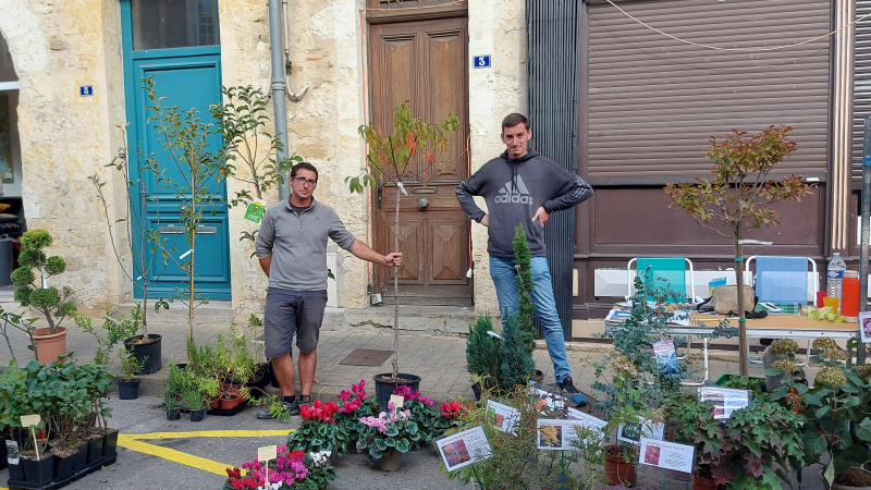 Un nouveau pépiniériste sur le marché vicois !