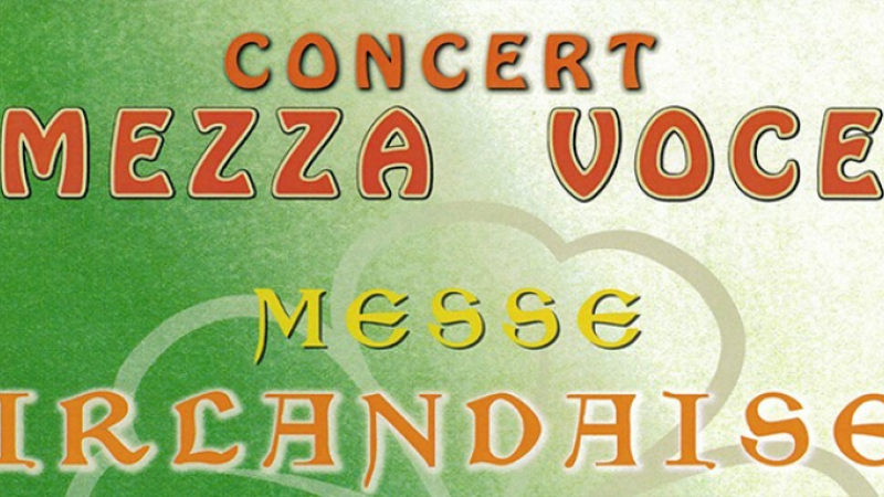 Mezza Vice en concert