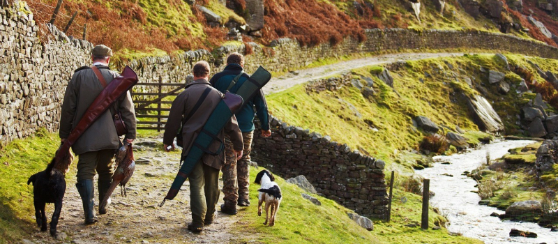 Un dimanche à la chasse dans le Gers