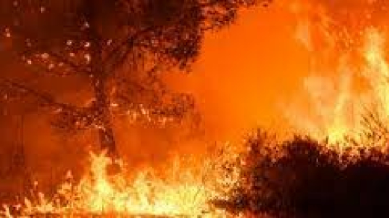 Feux de forêt : bilan 2023 de l’action de l’État dans la prévention et la lutte contre les incendies