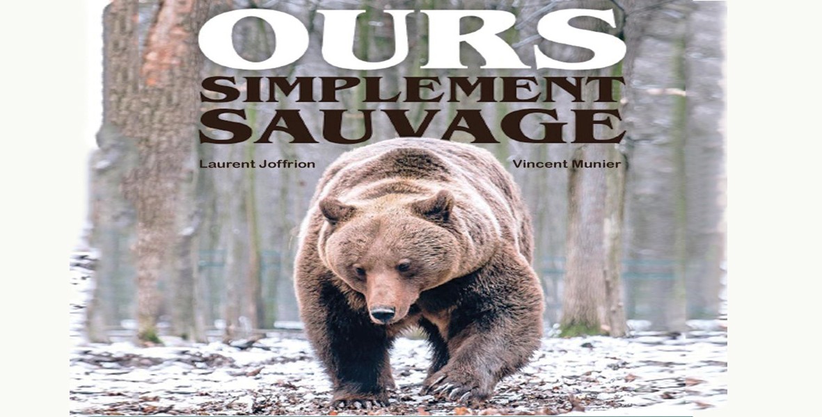 Ours (002).jpg