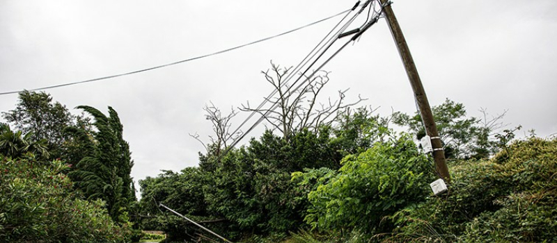 Les lignes électriques victimes des coups de vent