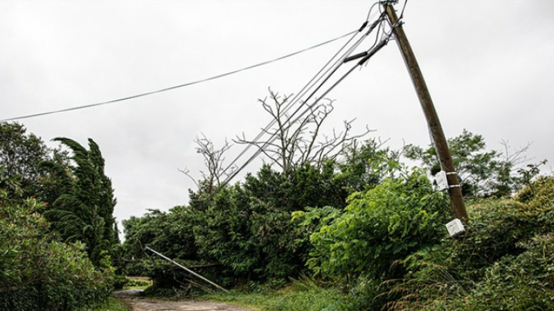 Les lignes électriques victimes des coups de vent