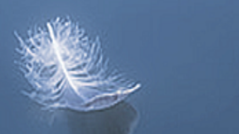In Memoriam