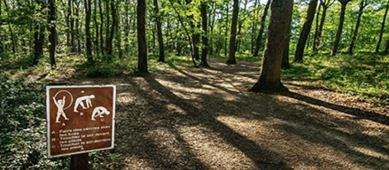 Bois d'Auch : fermeture temporaire du parcours vitalité