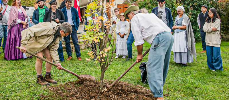 Un chêne planté à Lupiac fera penser à d'Artagnan, mort il y a 350 ans
