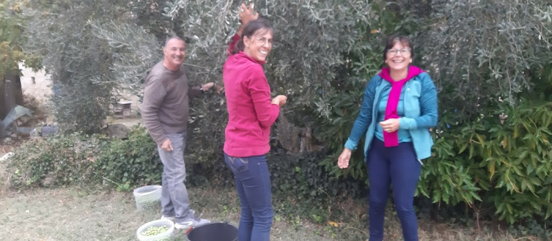 Premiere fabrication d'huile d'olives vierge