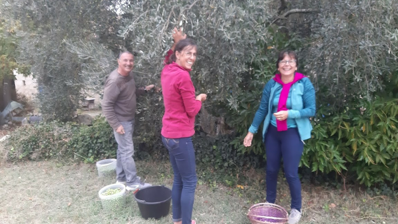 Premiere fabrication d'huile d'olives vierge
