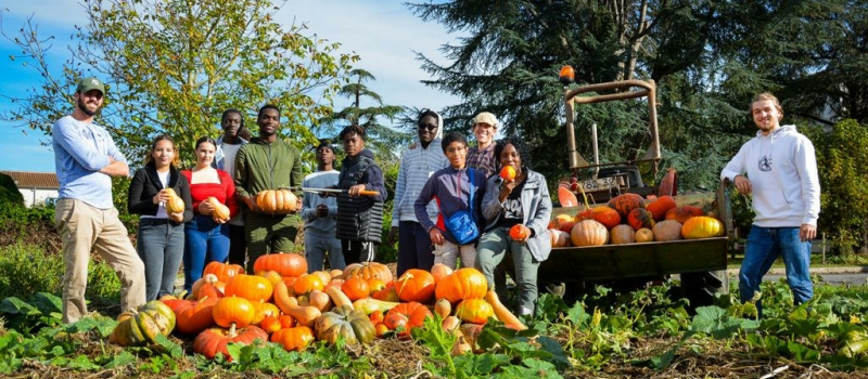 Récolte d'automne des cucurbitacées