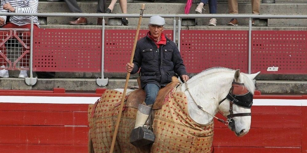 alain-bonijol-est-un-fidele-des-arenes-de-mont-de-marsan-et-dax.jpg