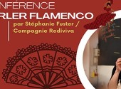 flamenco 2 condom.jpg