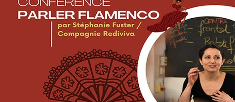 Les amateurs de Flamenco vont apprécier