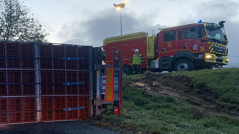 Un poids lourd transportant 4 milliers de volailles se renverse