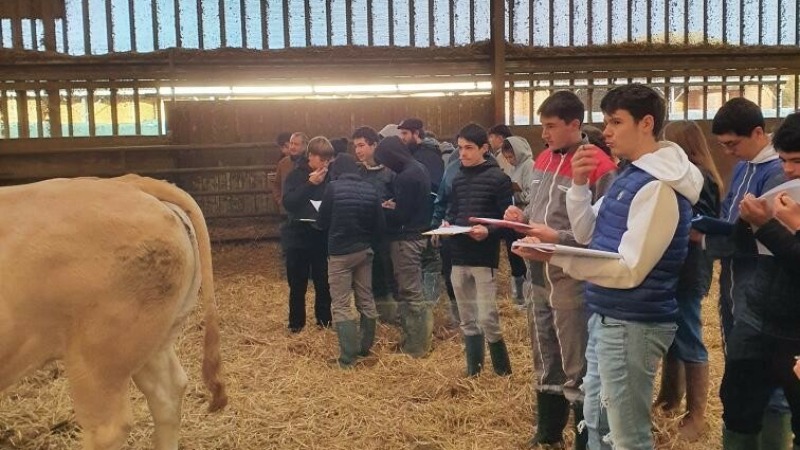 Les élèves de 1ère  au concours du CJAJ