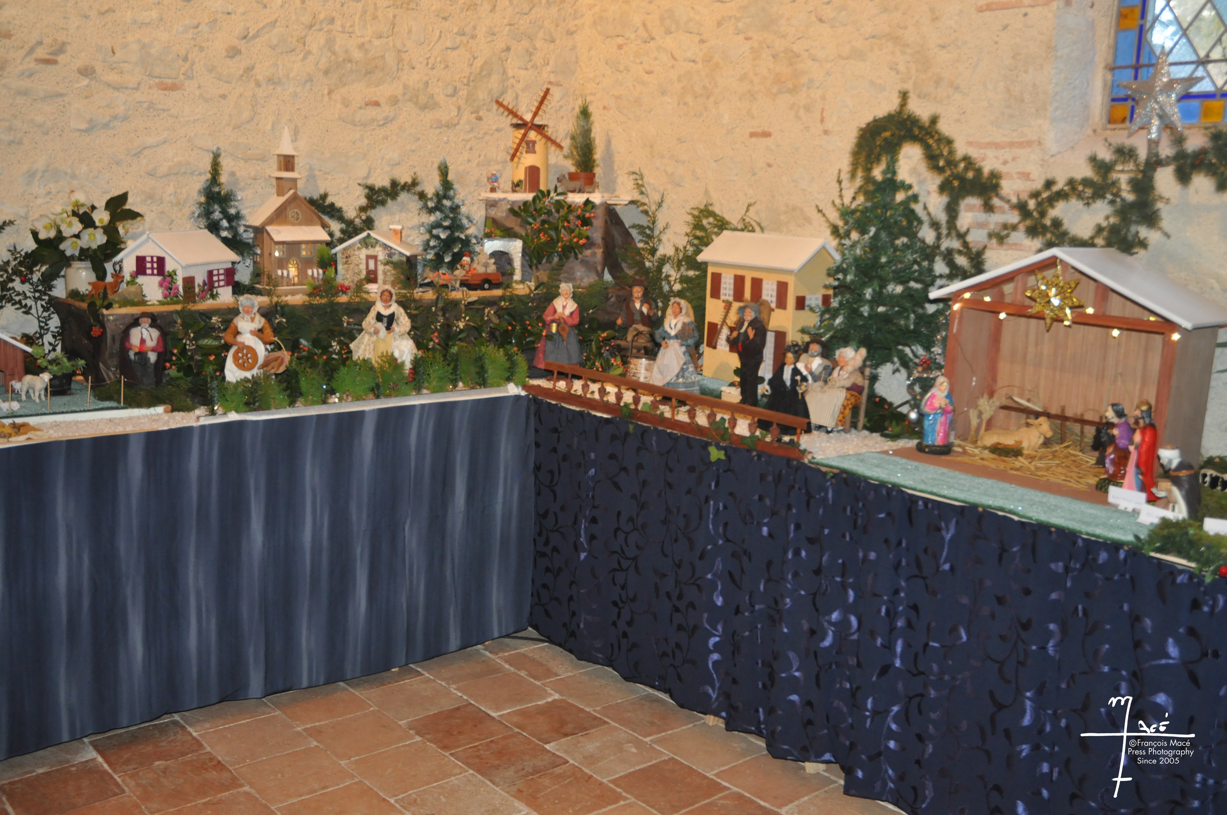 DSC_0571.jpg