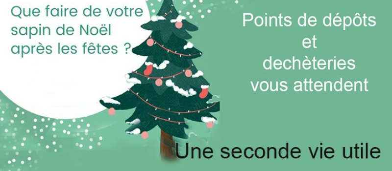 Mon sapin était beau mais...