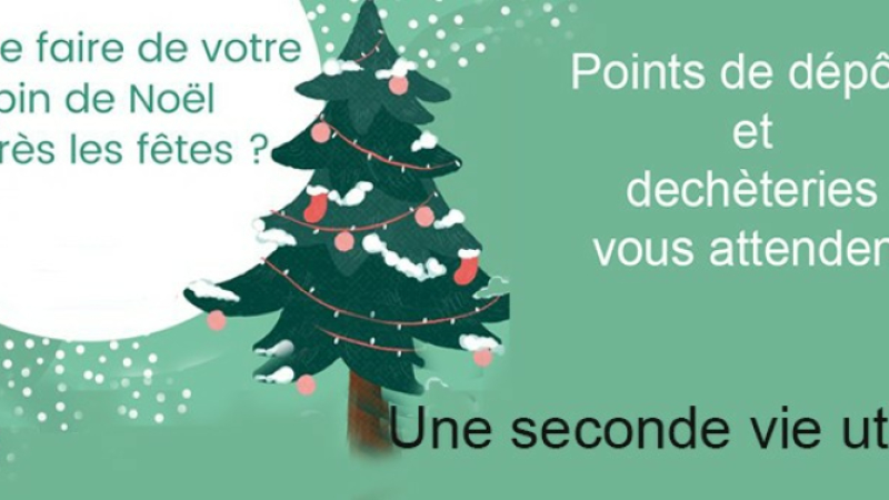 Mon sapin était beau mais...