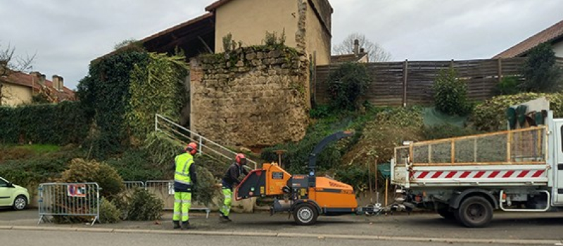 Un geste écologique avec vos sapins