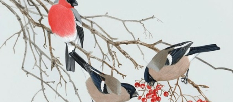 Atelier Gravure en avant première de la prochaine semaine verte de Mars,
