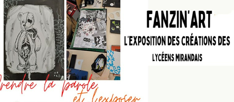 Les Fanzines des lycéens exposées à la médiathèque
