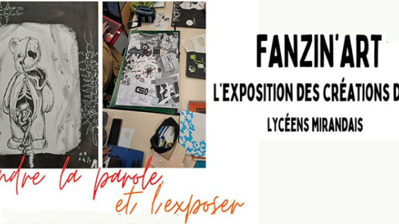 Les Fanzines des lycéens exposées à la médiathèque