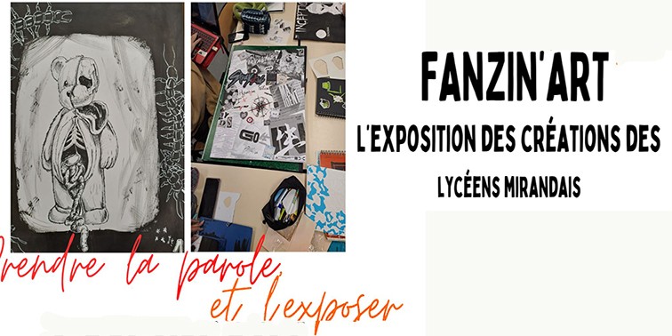 fanzine mediatheque.jpg
