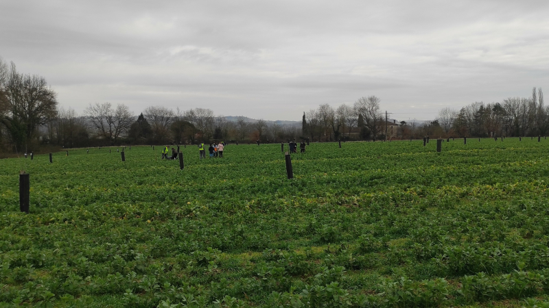 Les enfants sèment l’avenir en plantant des arbres  dans le Gers