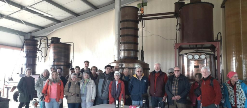 Elusa Rando reprend ses activités