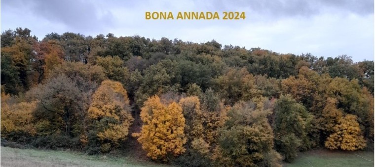 Bona Annada 2024 Le Journal Du Gers Journal D Actualit S En Ligne Et   202401051003593kOr Image(760x340) 