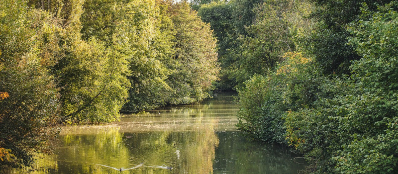 Déclarons 2024 Grande Année de l’Eau dans le Gers !