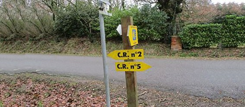 Randonnée des rois